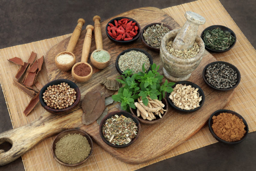 Chinese Herbs for Arthritis in Dogs