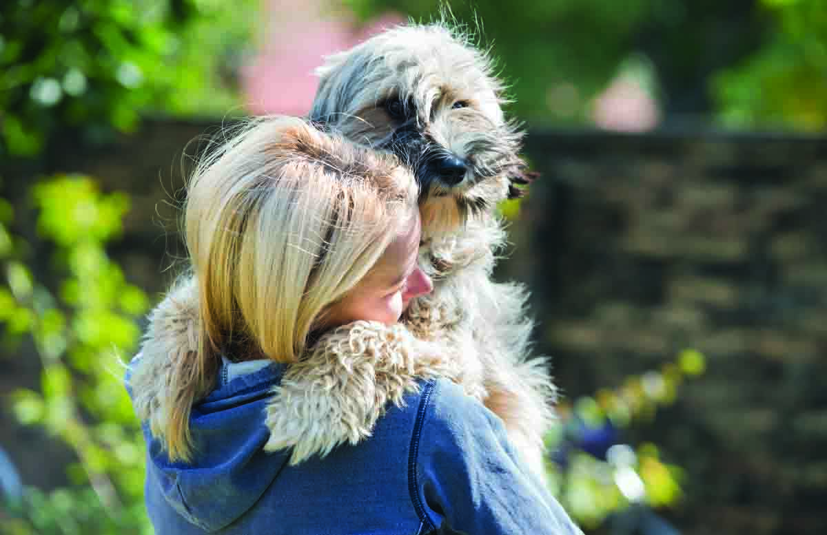 Responsible Re-homing of Your Dog or Cat