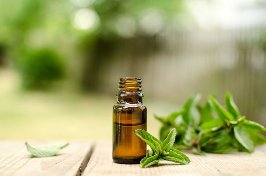 Essential oils for dogs: health, happiness, and safety tips