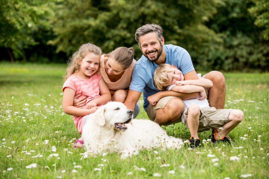 Sustainable pet products for eco-conscious dog and cat parents