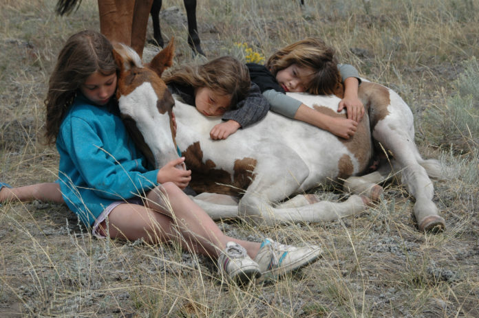 Imprinting Your Foal – A Loving Approach
