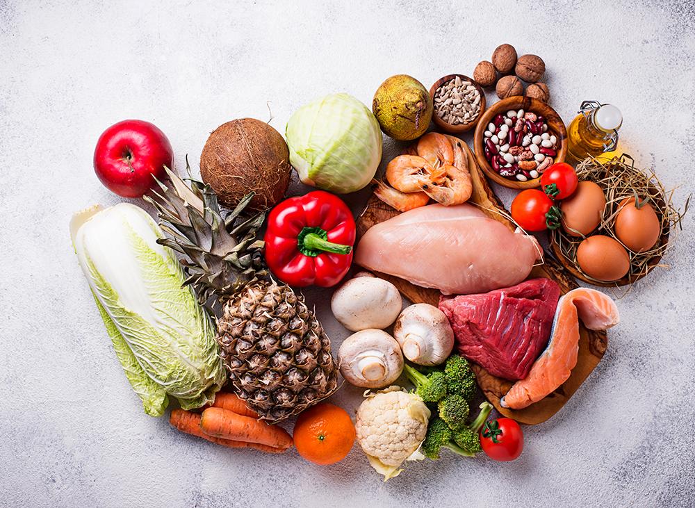 diet therapy for organ health in dogs