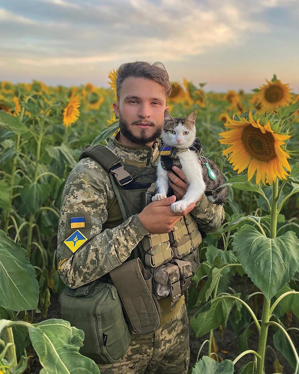 Shayba the soldier cat