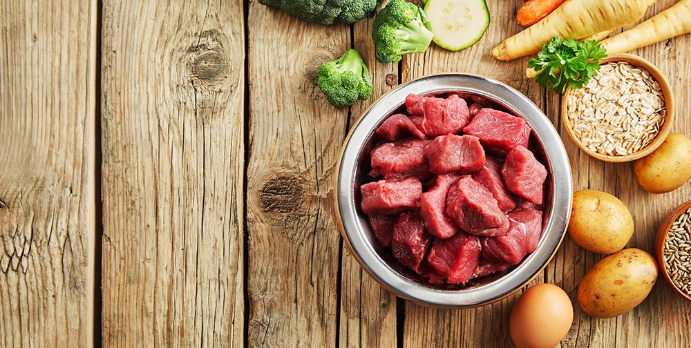 dental health foods and supplements for dogs and cats