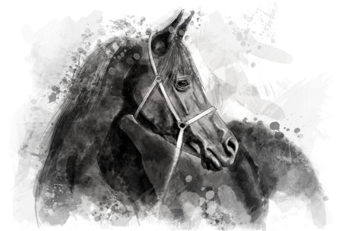 Equine Leaky Gut Syndrome: Part 2