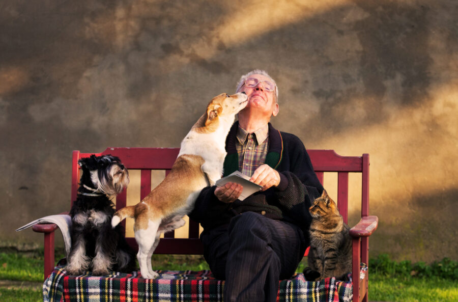 Benefits of dogs and cats for seniors