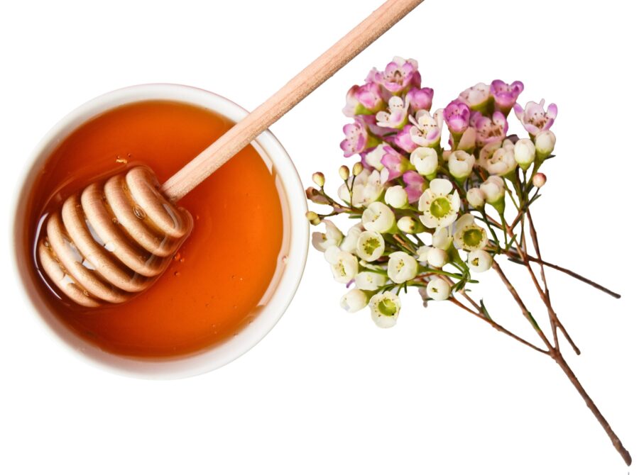 Antimicrobial resistance in dogs and cats