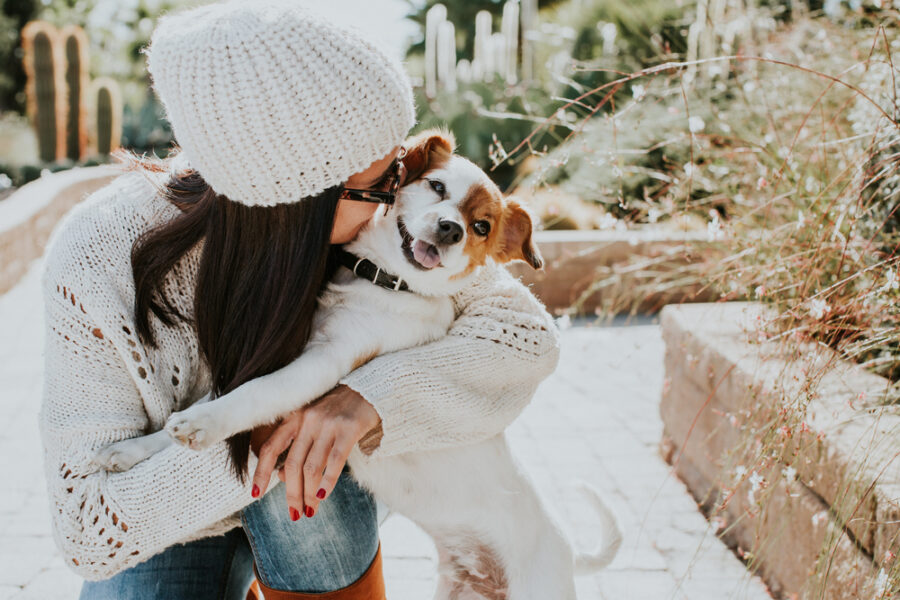 Training and Behavior Tips for Foster Dogs