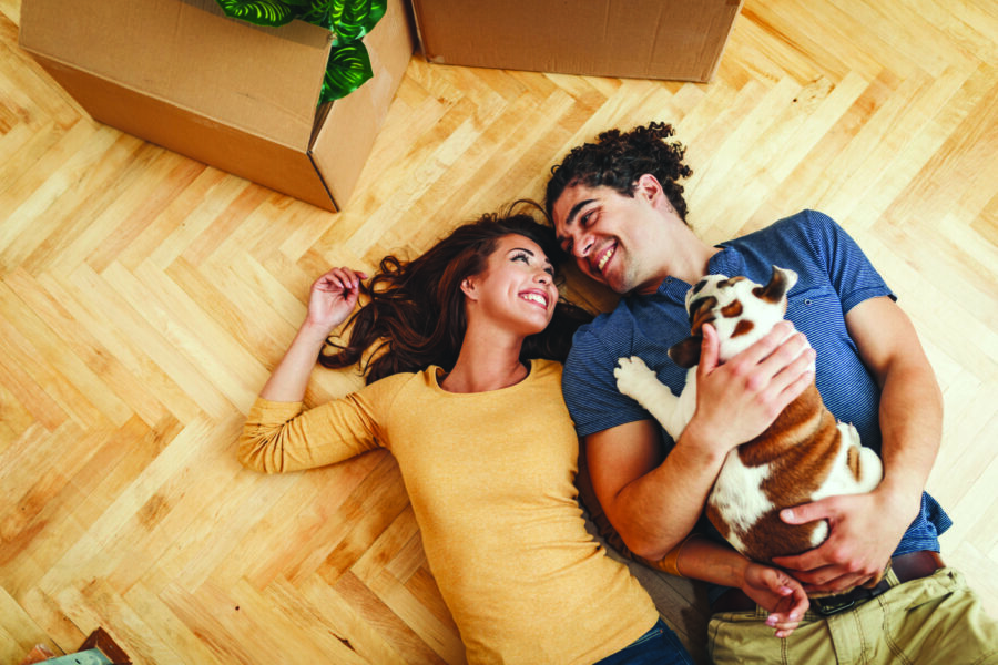 Moving House with Your Dog