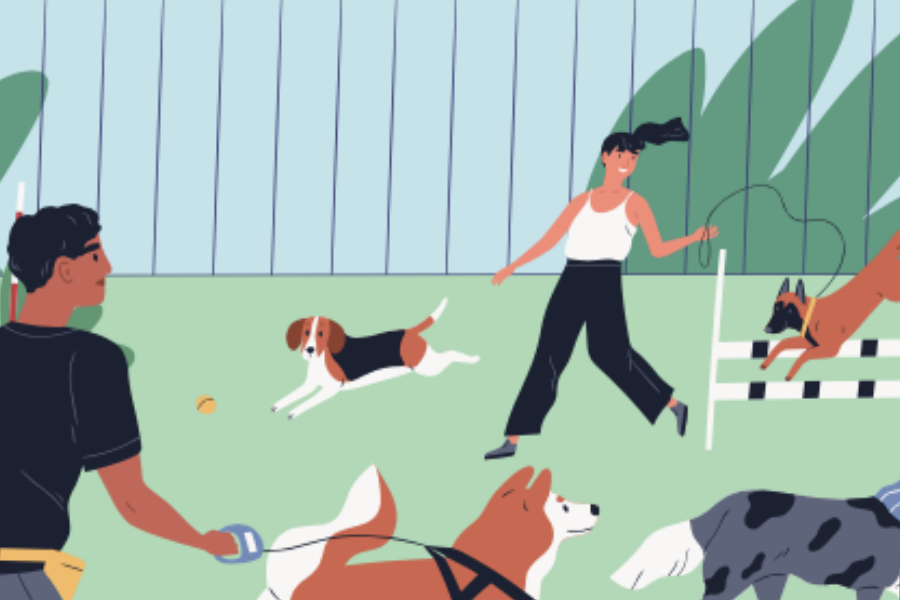 Your Hands-On Guide for Going to the Dog Park
