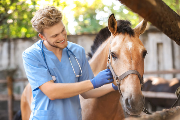 Cancer Prevention for Horses