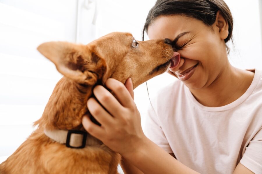 Understanding Your Dog’s Body Language