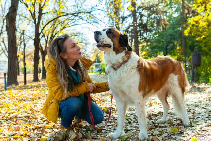 Choosing an Animal Communicator for Your Dog or Cat