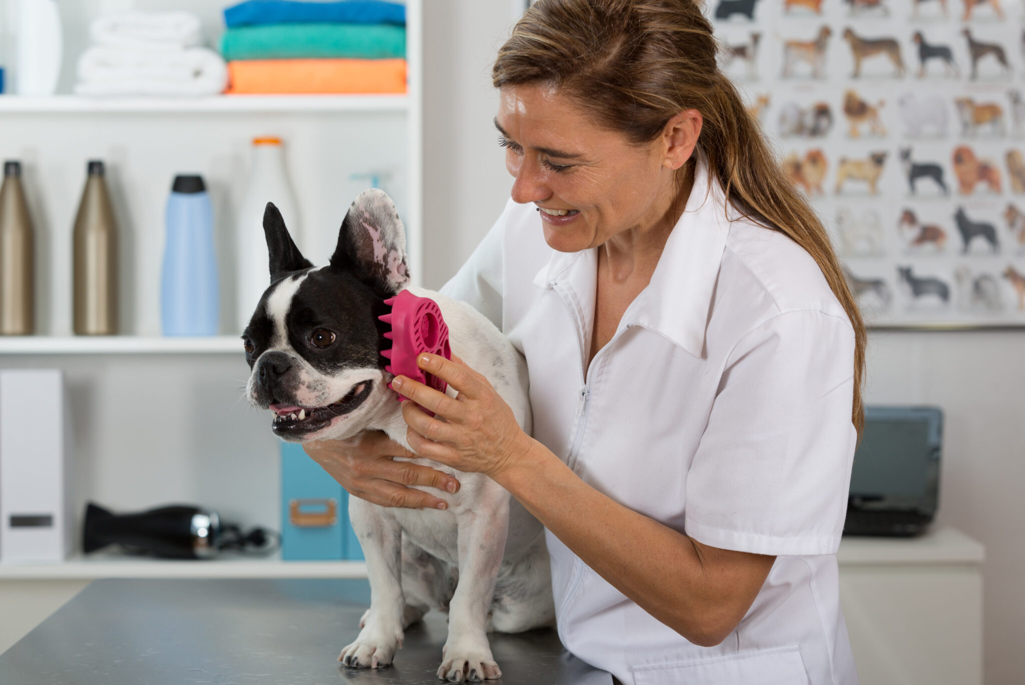 Practical Natural Wellness Habits Every Pet Owner Can Adopt Today