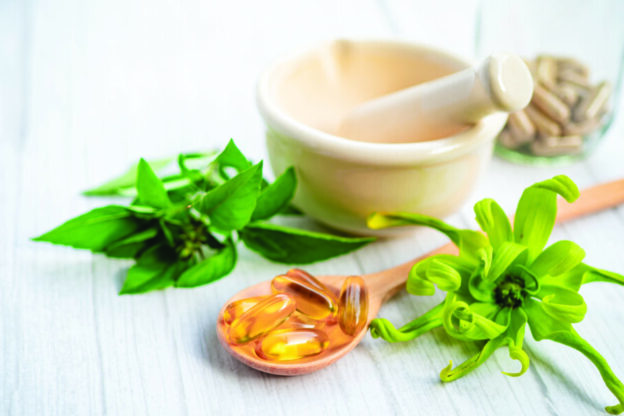 Integrative treatments for canine hypothyroidism
