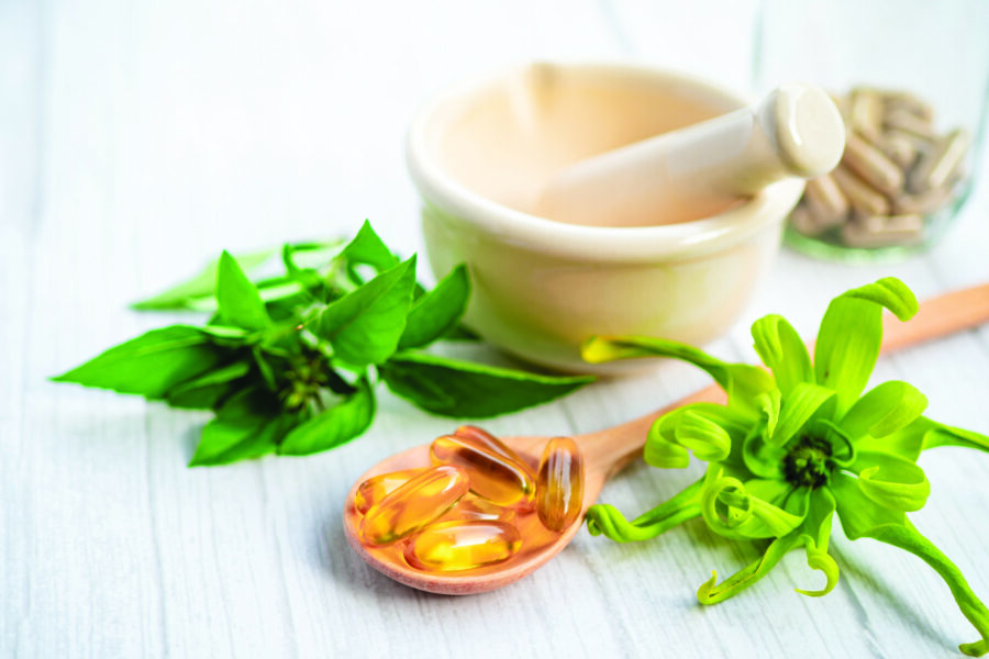 Integrative treatments for canine hypothyroidism
