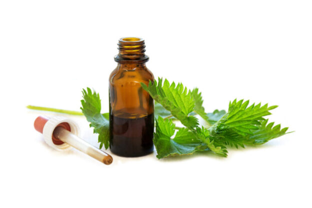 Herbal tinctures for dogs and cats