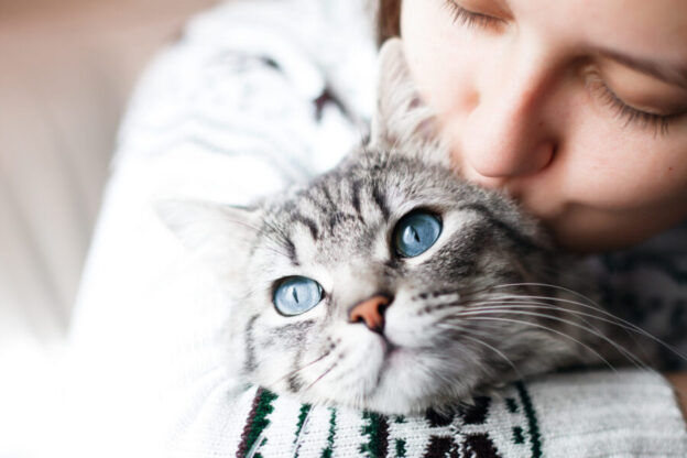 How cat purring heals the body