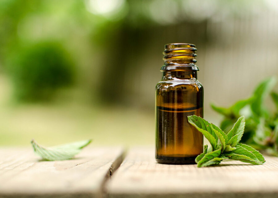 Essential oils for Lyme disease and tick-borne infections in dogs