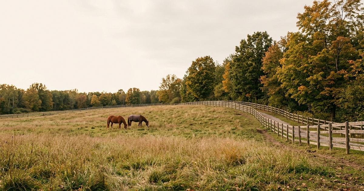natural fall pasture management for horses