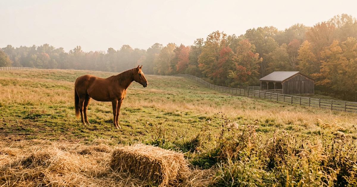 equine immune support before cold season